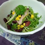 シャキシャキ水菜の彩りサラダ